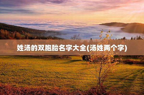 姓汤的双胞胎名字大全(汤姓两个字)