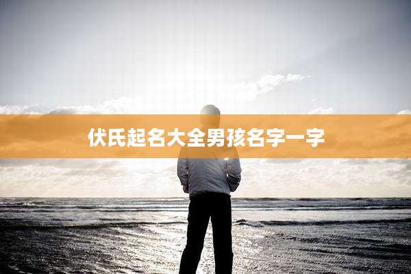 伏氏起名大全男孩名字一字
