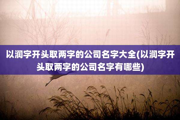 以润字开头取两字的公司名字大全(以润字开头取两字的公司名字有哪些)