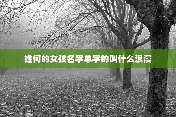姓何的女孩名字单字的叫什么浪漫
