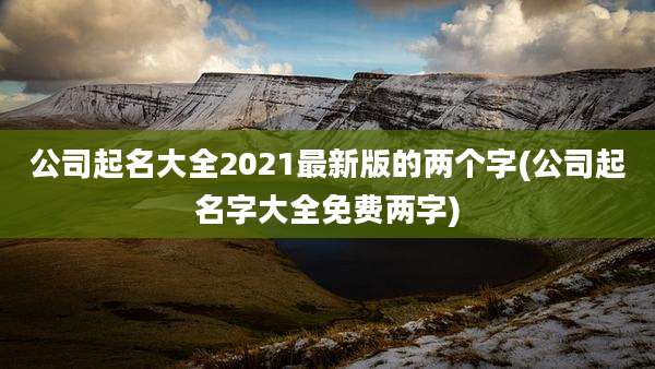 公司起名大全2021最新版的两个字(公司起名字大全免费两字)