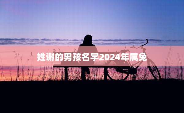 姓谢的男孩名字2024年属兔