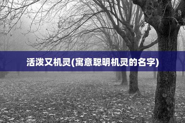 活泼又机灵(寓意聪明机灵的名字)