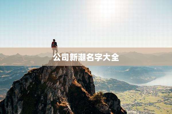 公司新潮名字大全