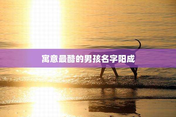 寓意最酷的男孩名字阳成