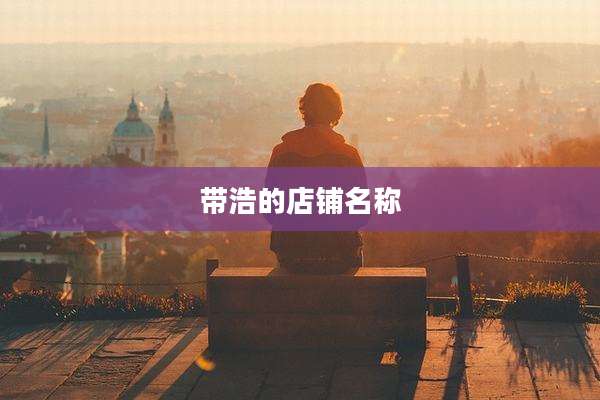 带浩的店铺名称