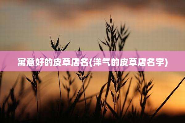 寓意好的皮草店名(洋气的皮草店名字)