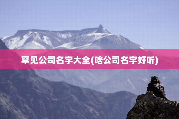 罕见公司名字大全(啥公司名字好听)