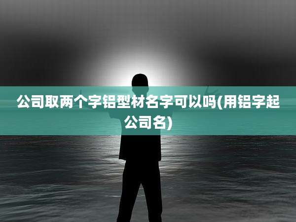 公司取两个字铝型材名字可以吗(用铝字起公司名)