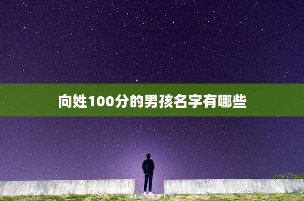 向姓100分的男孩名字有哪些