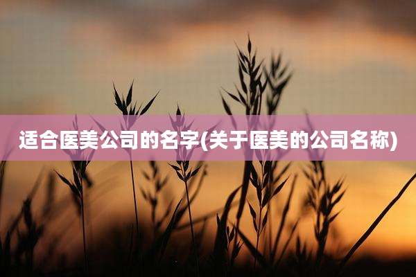适合医美公司的名字(关于医美的公司名称)