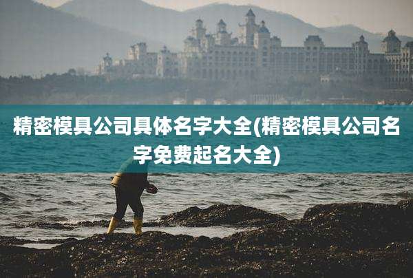 精密模具公司具体名字大全(精密模具公司名字免费起名大全)