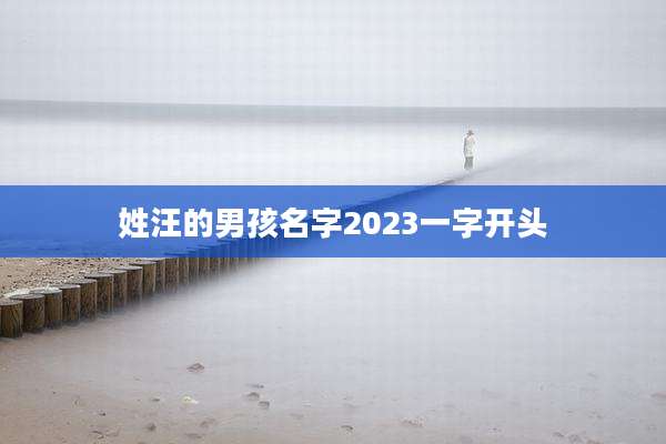 姓汪的男孩名字2023一字开头