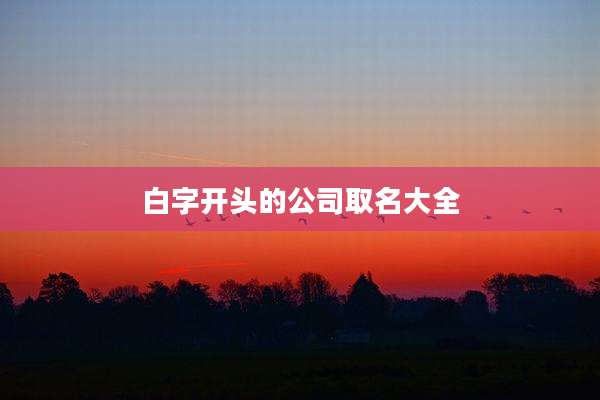 白字开头的公司取名大全