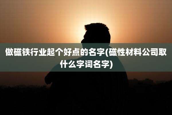 做磁铁行业起个好点的名字(磁性材料公司取什么字词名字)