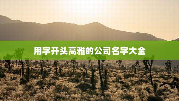 用字开头高雅的公司名字大全