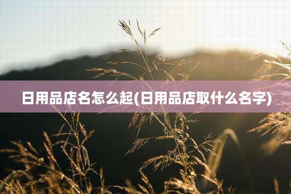 日用品店名怎么起(日用品店取什么名字)