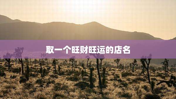 取一个旺财旺运的店名
