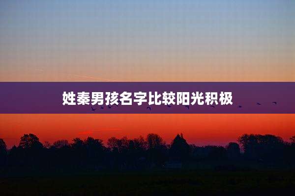 姓秦男孩名字比较阳光积极