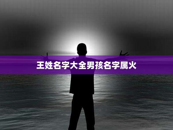 王姓名字大全男孩名字属火