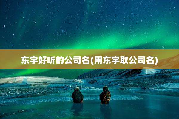 东字好听的公司名(用东字取公司名)