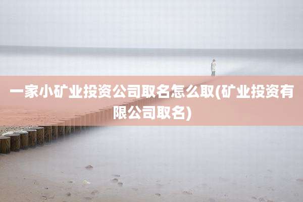 一家小矿业投资公司取名怎么取(矿业投资有限公司取名)