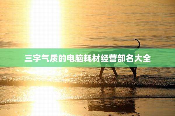 三字气质的电脑耗材经营部名大全