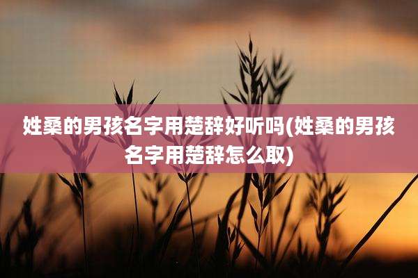 姓桑的男孩名字用楚辞好听吗(姓桑的男孩名字用楚辞怎么取)
