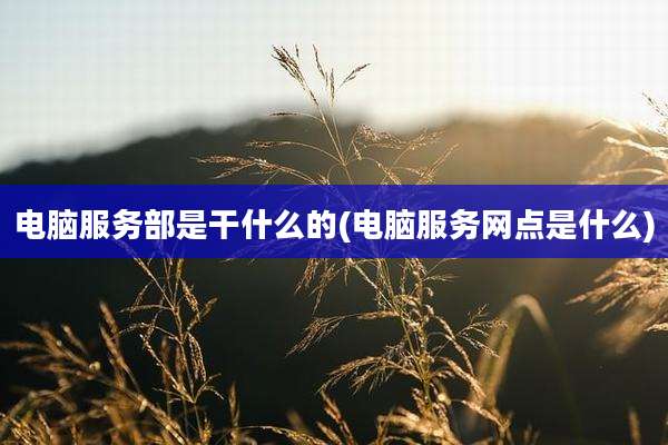 电脑服务部是干什么的(电脑服务网点是什么)