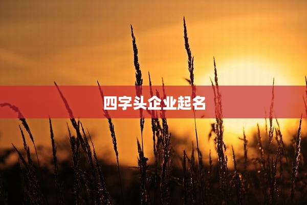 四字头企业起名