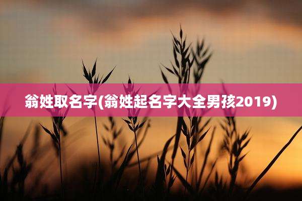 翁姓取名字(翁姓起名字大全男孩2019)