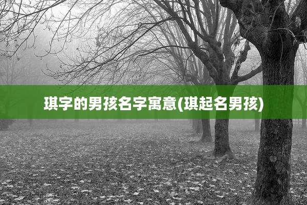 琪字的男孩名字寓意(琪起名男孩)