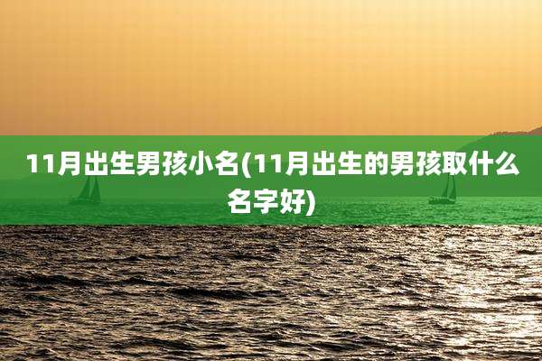 11月出生男孩小名(11月出生的男孩取什么名字好)