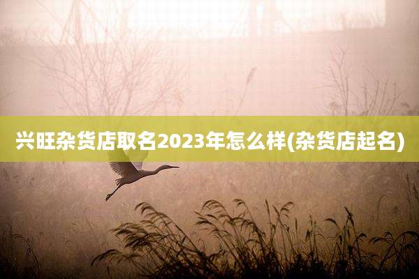 兴旺杂货店取名2023年怎么样(杂货店起名)