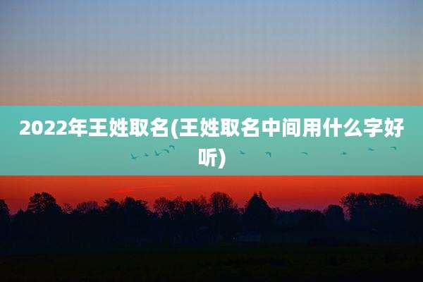 2022年王姓取名(王姓取名中间用什么字好听)