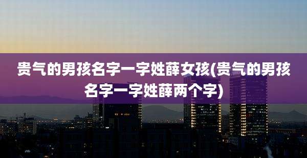 贵气的男孩名字一字姓薛女孩(贵气的男孩名字一字姓薛两个字)