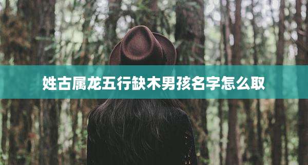 姓古属龙五行缺木男孩名字怎么取