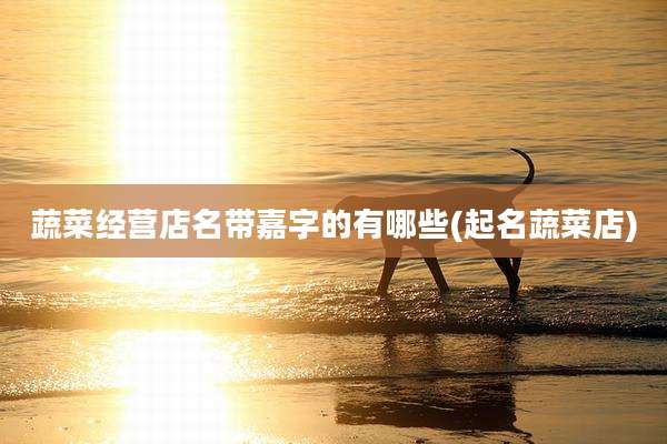 蔬菜经营店名带嘉字的有哪些(起名蔬菜店)