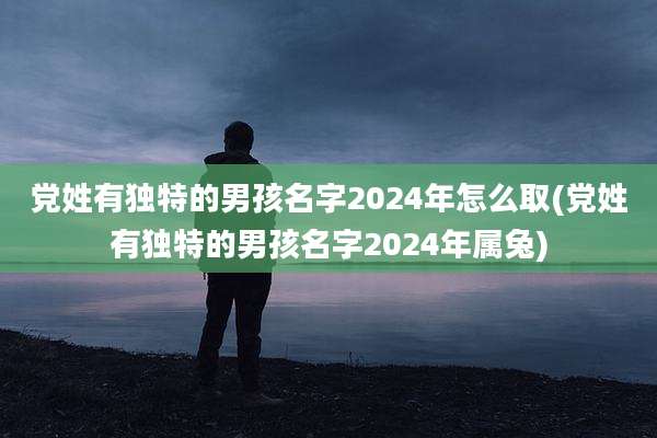 党姓有独特的男孩名字2024年怎么取(党姓有独特的男孩名字2024年属兔)