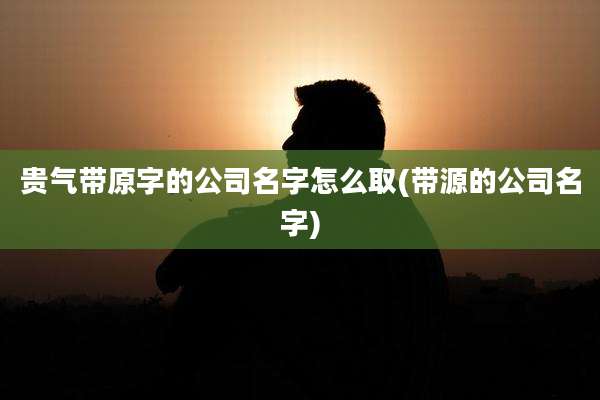 贵气带原字的公司名字怎么取(带源的公司名字)