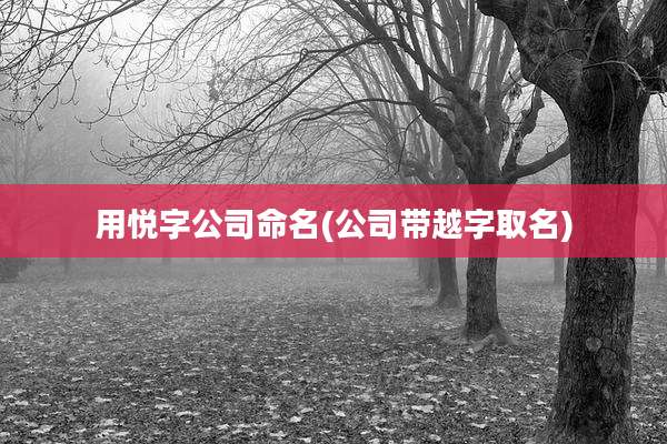 用悦字公司命名(公司带越字取名)