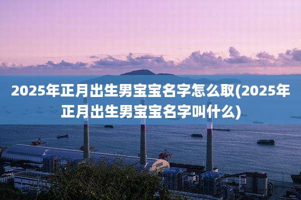 2025年正月出生男宝宝名字怎么取(2025年正月出生男宝宝名字叫什么)