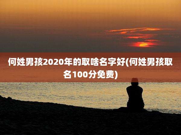 何姓男孩2020年的取啥名字好(何姓男孩取名100分免费)