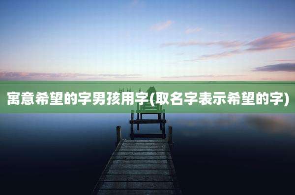 寓意希望的字男孩用字(取名字表示希望的字)