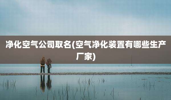 净化空气公司取名(空气净化装置有哪些生产厂家)