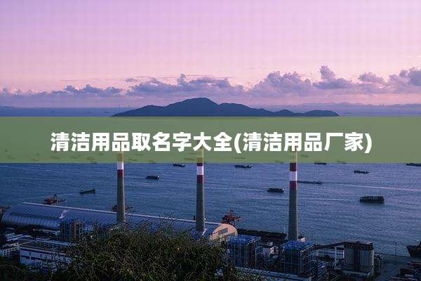 清洁用品取名字大全(清洁用品厂家)