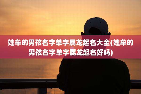 姓牟的男孩名字单字属龙起名大全(姓牟的男孩名字单字属龙起名好吗)