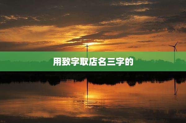 用致字取店名三字的