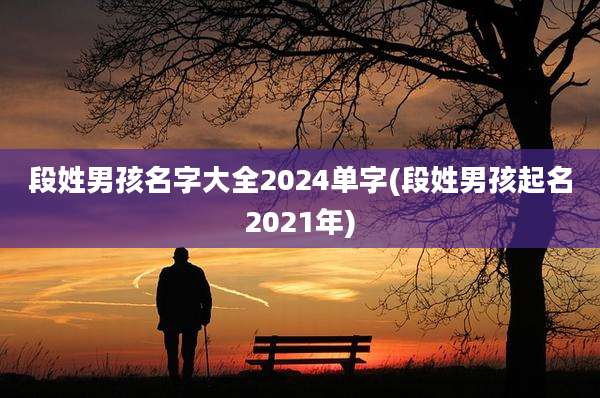 段姓男孩名字大全2024单字(段姓男孩起名2021年)