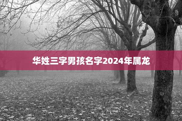 华姓三字男孩名字2024年属龙
